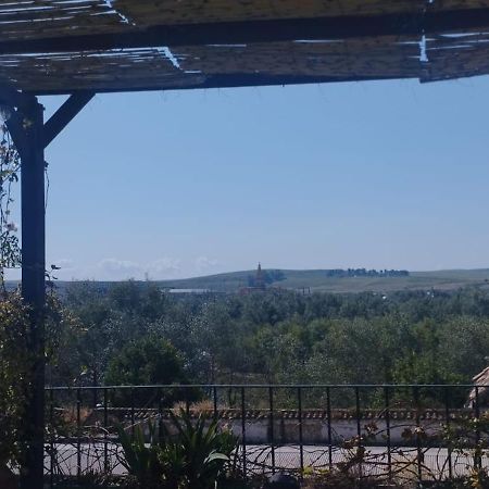 شقة قرطبة  في My Small Penthouse With Views.Tourism & Tranquility & Sun المظهر الخارجي الصورة